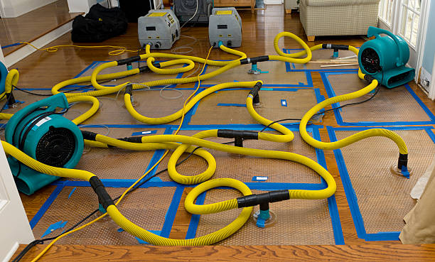 Professional Water Extraction technician working in Fisherville, KY